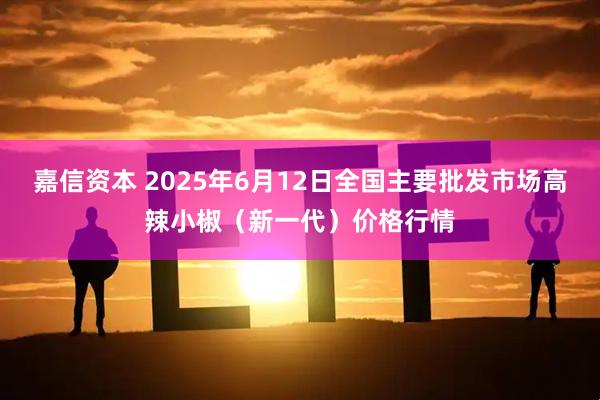 嘉信资本 2025年6月12日全国主要批发市场高辣小椒（新一代）价格行情
