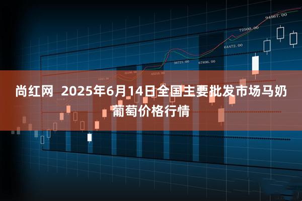 尚红网  2025年6月14日全国主要批发市场马奶葡萄价格行情