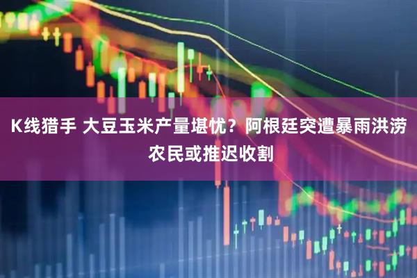K线猎手 大豆玉米产量堪忧？阿根廷突遭暴雨洪涝 农民或推迟收割