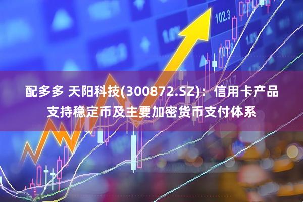 配多多 天阳科技(300872.SZ)：信用卡产品支持稳定币及主要加密货币支付体系