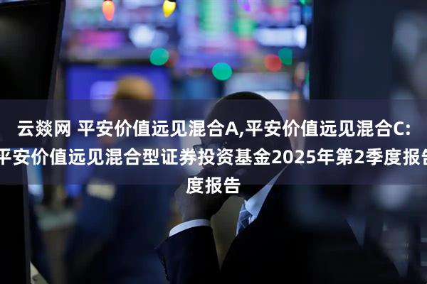 云燚网 平安价值远见混合A,平安价值远见混合C: 平安价值远见混合型证券投资基金2025年第2季度报告