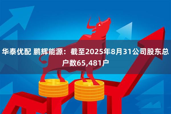 华泰优配 鹏辉能源：截至2025年8月31公司股东总户数65,481户