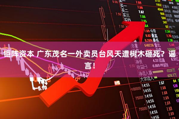 钜阵资本 广东茂名一外卖员台风天遭树木砸死?谣言!