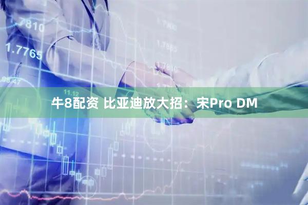 牛8配资 比亚迪放大招：宋Pro DM